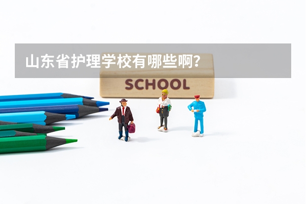 山东省护理学校有哪些啊？