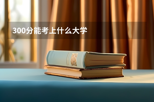 300分能考上什么大学