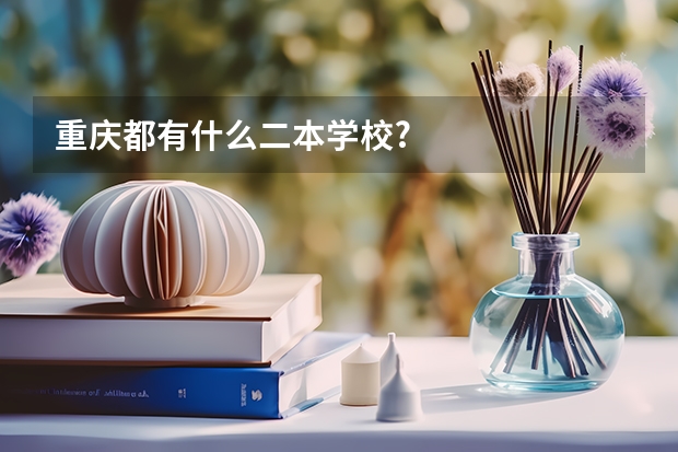 重庆都有什么二本学校?
