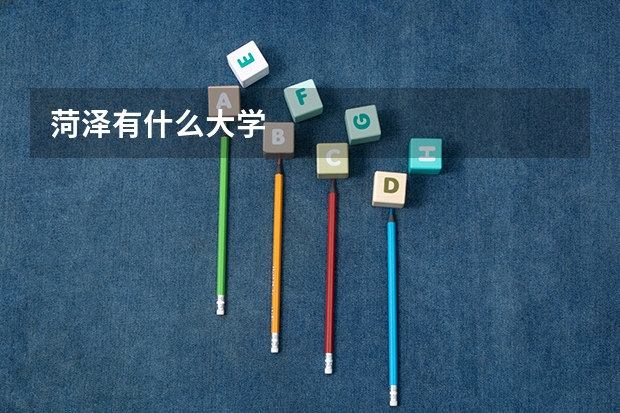 菏泽有什么大学
