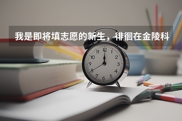 我是即将填志愿的新生,徘徊在金陵科技学院和南京晓庄(本2),我是计算机的,怎么办