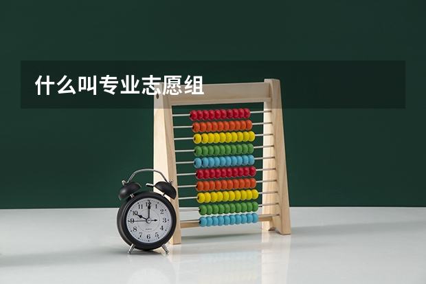 什么叫专业志愿组