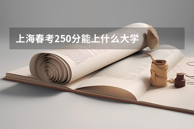 上海春考250分能上什么大学