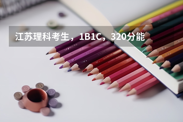 江苏理科考生，1B1C，320分能上什么南京二本大学