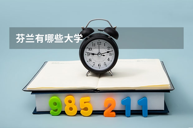 芬兰有哪些大学