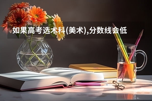 如果高考选术科(美术),分数线会低多少?
