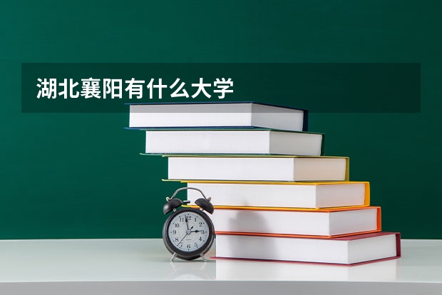 湖北襄阳有什么大学