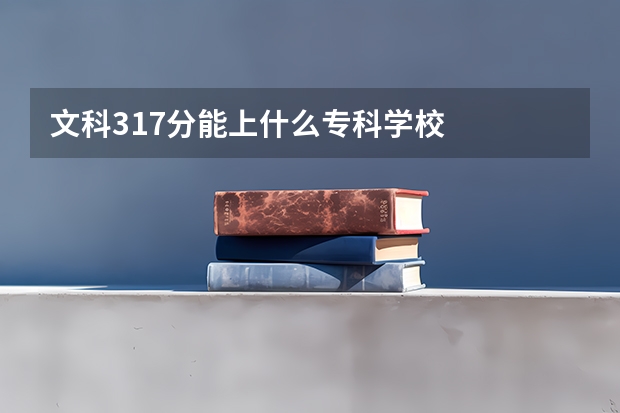 文科317分能上什么专科学校