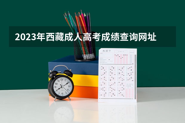 2023年西藏成人高考成绩查询网址及查分通道？（2023美术联考时间）