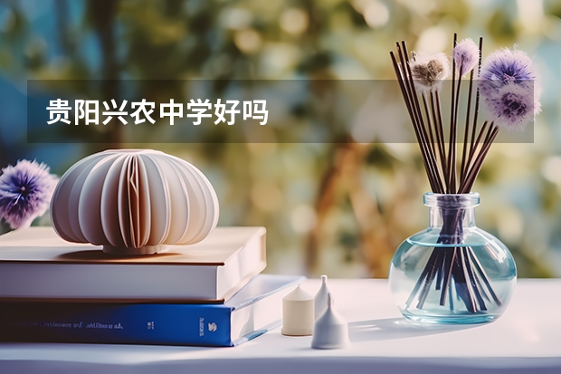 贵阳兴农中学好吗