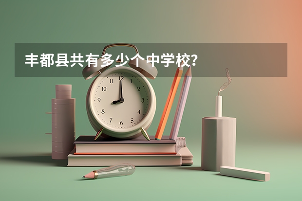 丰都县共有多少个中学校?