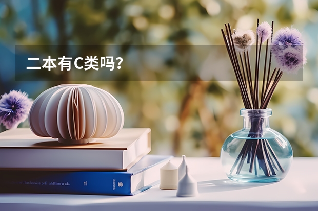 二本有C类吗？
