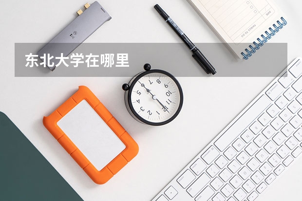 东北大学在哪里