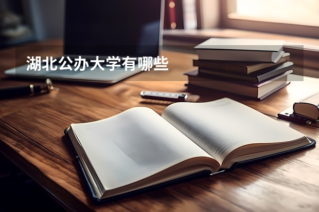 湖北公办大学有哪些