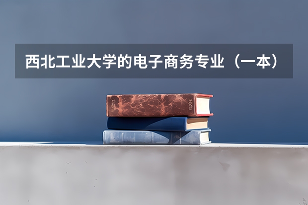 西北工业大学的电子商务专业(一本)就业前景如何