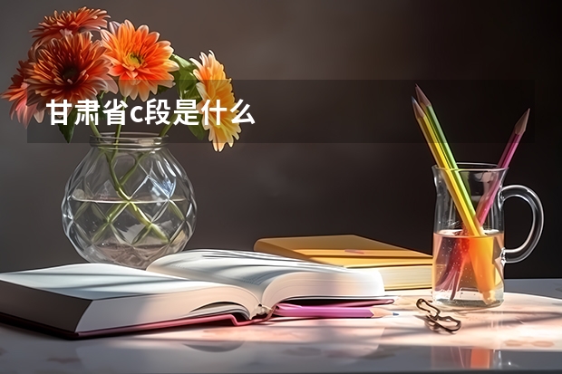 甘肃省c段是什么