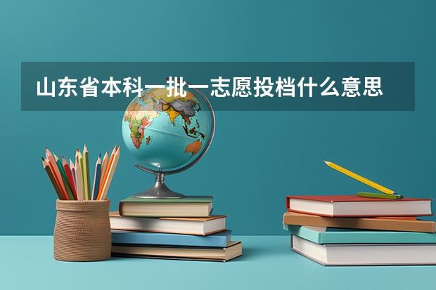 山东省本科一批一志愿投档什么意思
