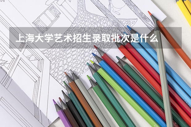 上海大学艺术招生录取批次是什么