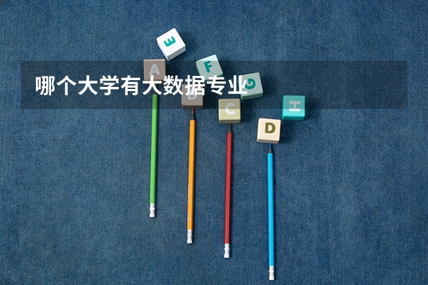 哪个大学有大数据专业