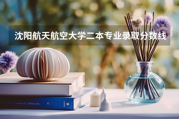沈阳航天航空大学二本专业录取分数线（分数线最低的二本公办大学）