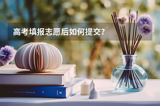 高考填报志愿后如何提交？