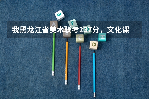 我黑龙江省美术联考237分，文化课400，能走什么学校呀？谢谢！！