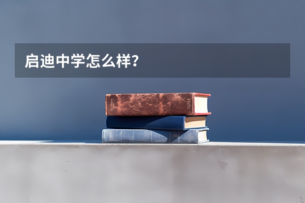 启迪中学怎么样？