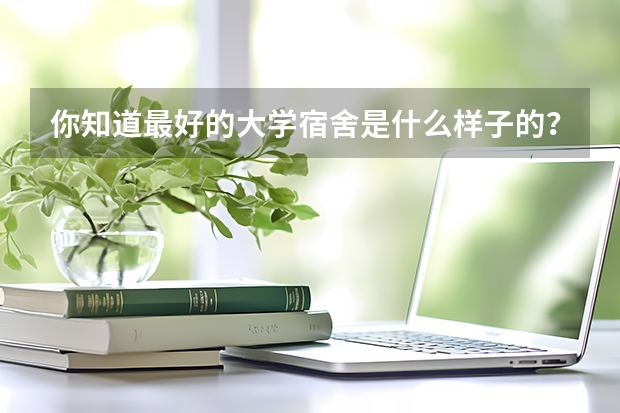 你知道最好的大学宿舍是什么样子的？