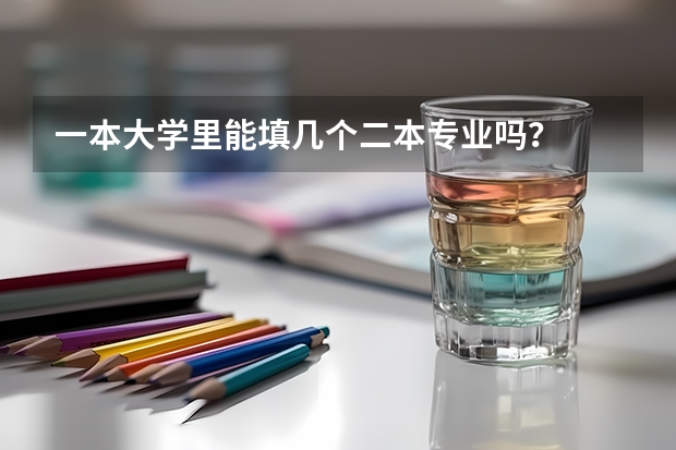 一本大学里能填几个二本专业吗？
