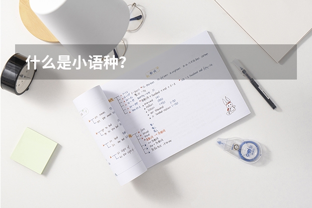 什么是小语种？