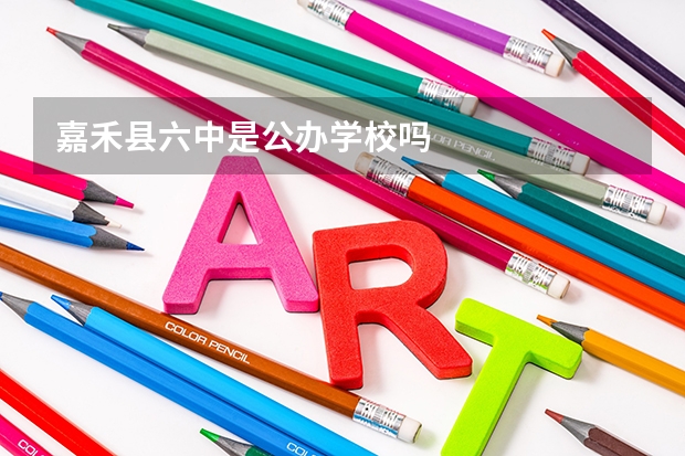 嘉禾县六中是公办学校吗