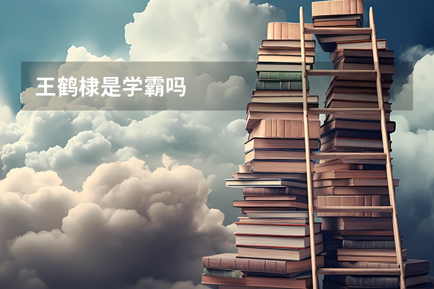 王鹤棣是学霸吗