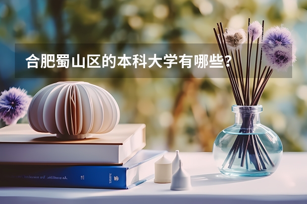 合肥蜀山区的本科大学有哪些？