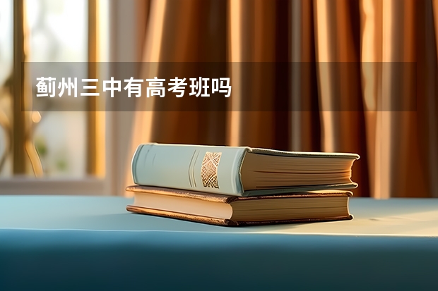 蓟州三中有高考班吗