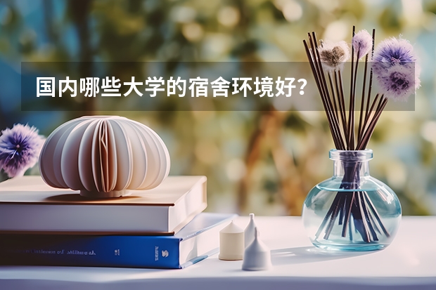 国内哪些大学的宿舍环境好？