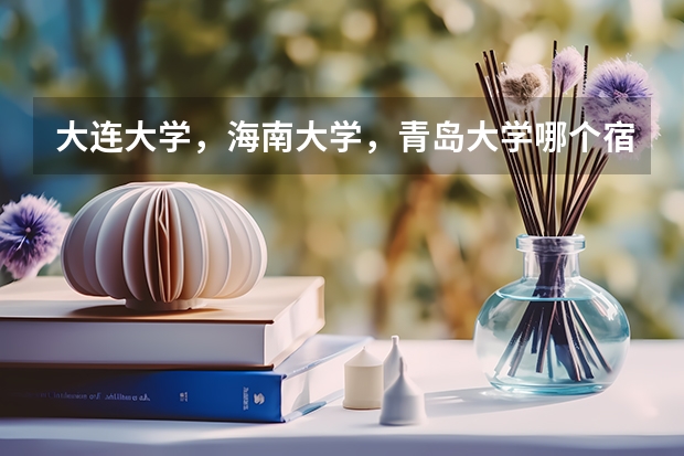 大连大学，海南大学，青岛大学哪个宿舍环境好一点