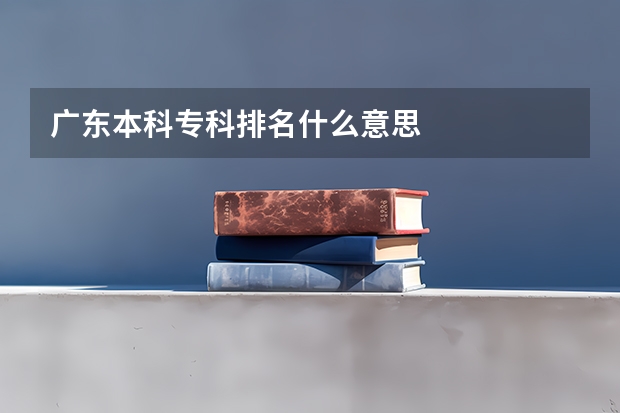 广东本科专科排名什么意思