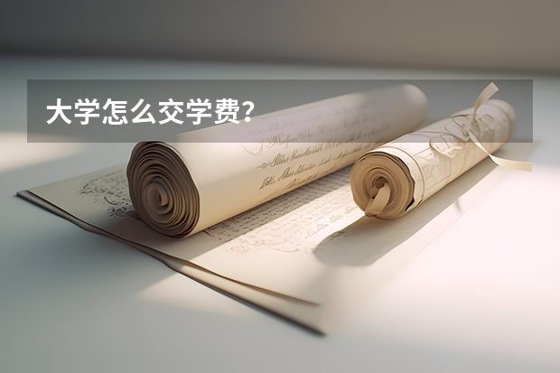 大学怎么交学费？