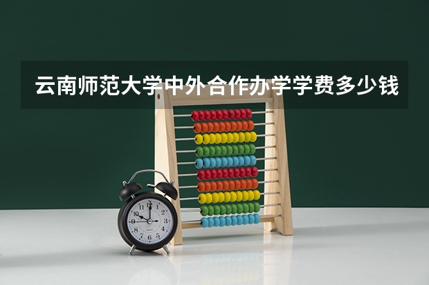 云南师范大学中外合作办学学费多少钱一年？
