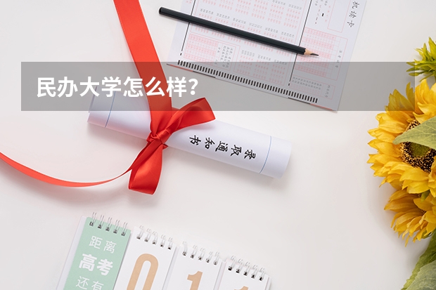 民办大学怎么样?
