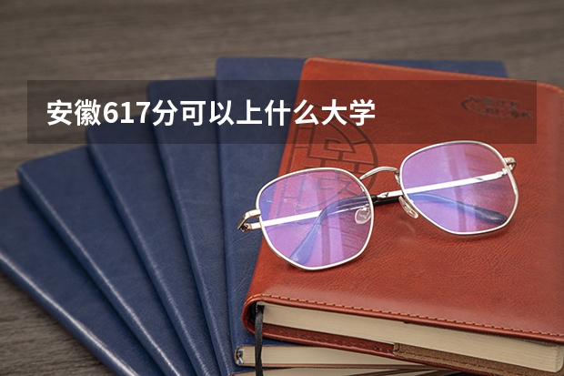 安徽617分可以上什么大学
