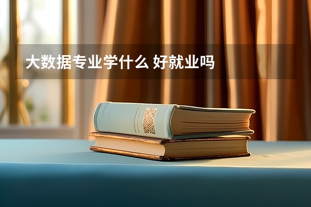 大数据专业学什么 好就业吗