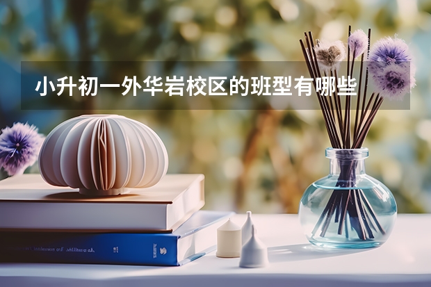 小升初一外华岩校区的班型有哪些