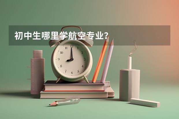 初中生哪里学航空专业？