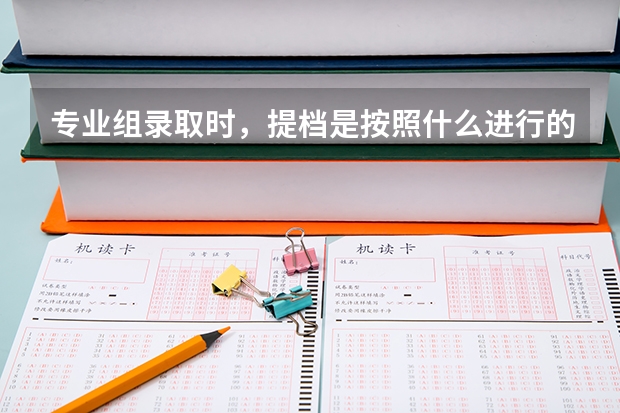 专业组录取时，提档是按照什么进行的？