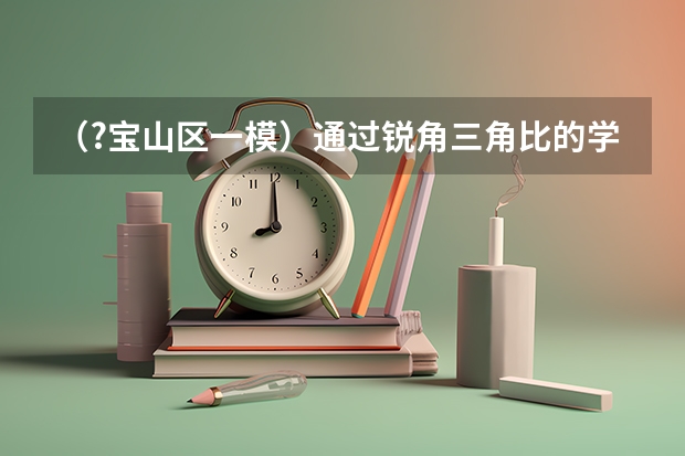 （?宝山区一模）通过锐角三角比的学习，我们已经知道在直角三角形中，一个锐角的大小与两条边长的比（（?宝山区一模）分析有关科学探究的资料，回答问题．某生物兴趣小组进行的光合作用实验：利用打孔器）