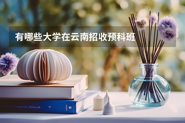 有哪些大学在云南招收预科班
