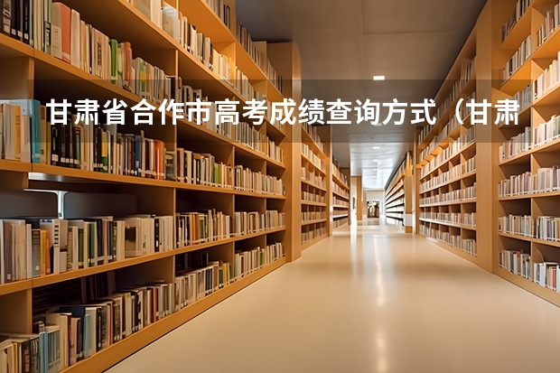 甘肃省合作市高考成绩查询方式（甘肃省高考美术生综合排名查询？）