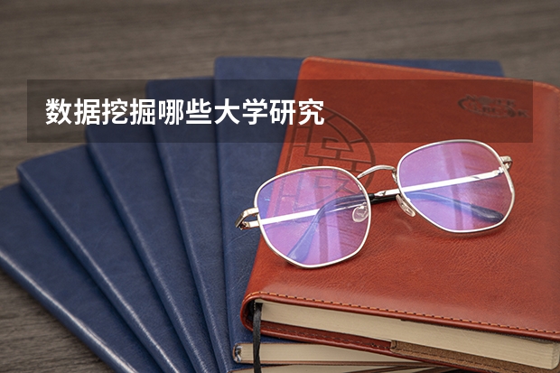 数据挖掘哪些大学研究
