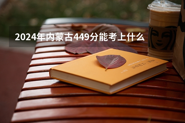 2024年内蒙古449分能考上什么大学?